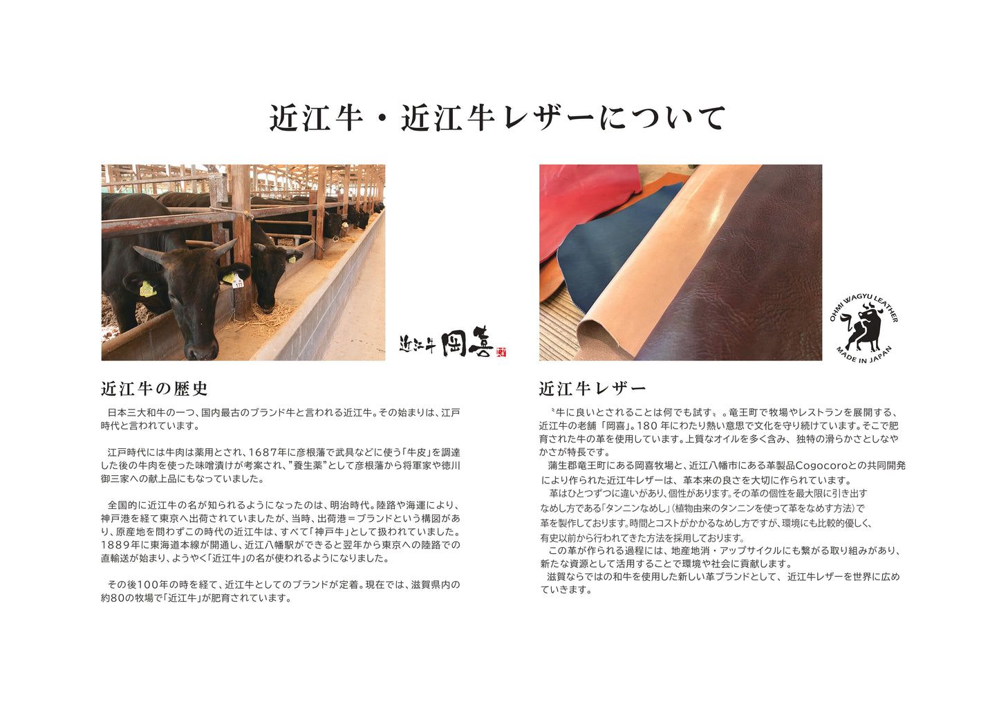 岡喜近江牛レザーと高島帆布で作った　フラップ付きリュック【びわ湖ブルー・ブライトキャメル】