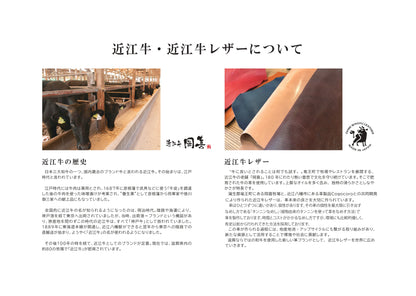 岡喜近江牛レザーと高島帆布で作った　フラップ付きリュック【びわ湖ブルー・ブライトキャメル】